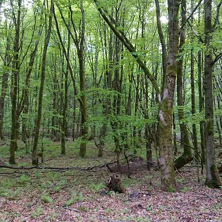 Haus Hasenmüller Schmiedefeld am Rennsteig